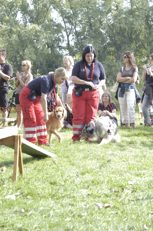 Klicken für nächstes Bild